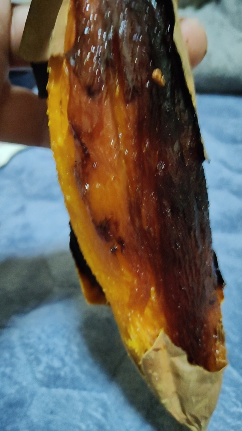 沙地烟薯25