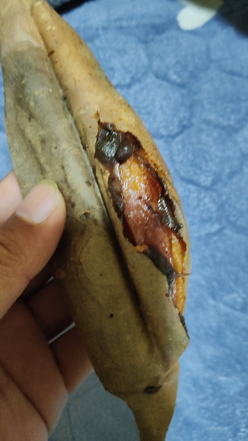 沙地烟薯25