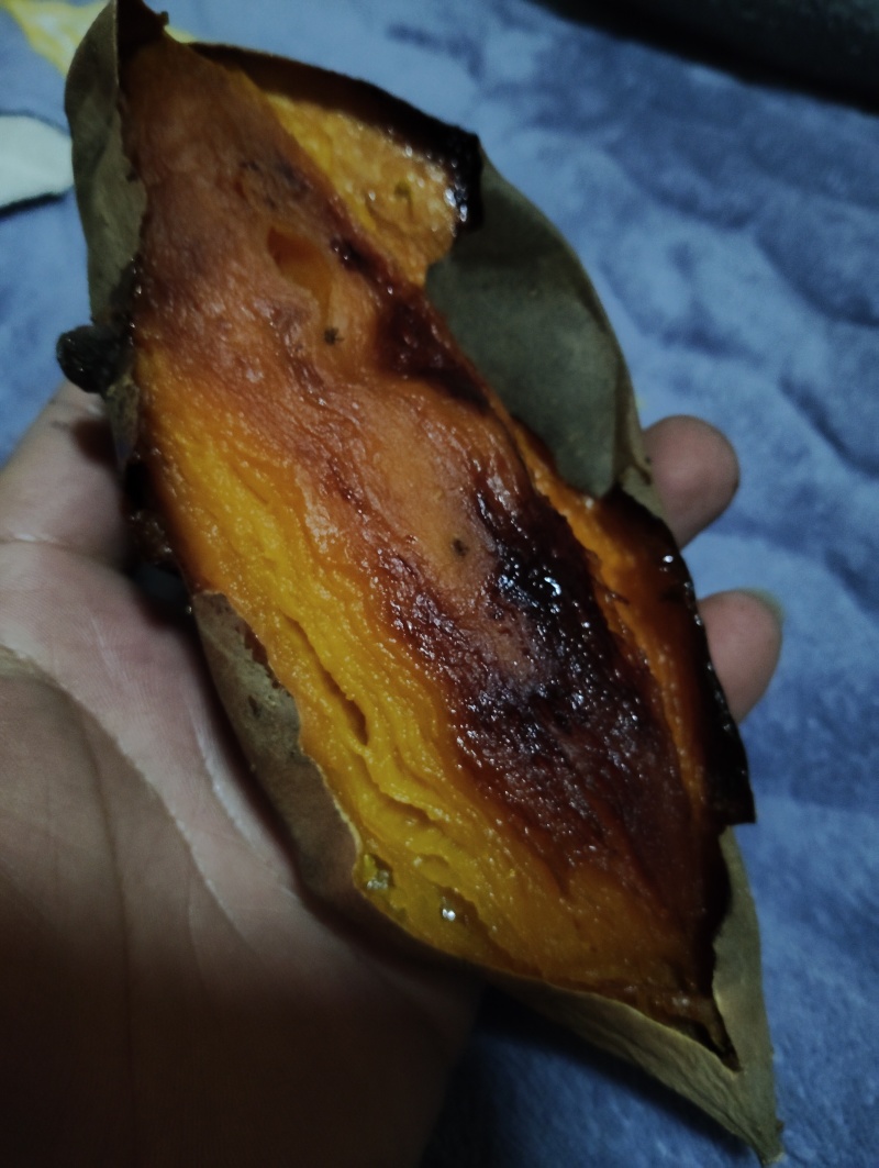 沙地烟薯25