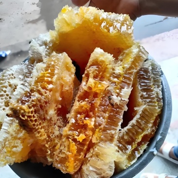 土蜂蜜