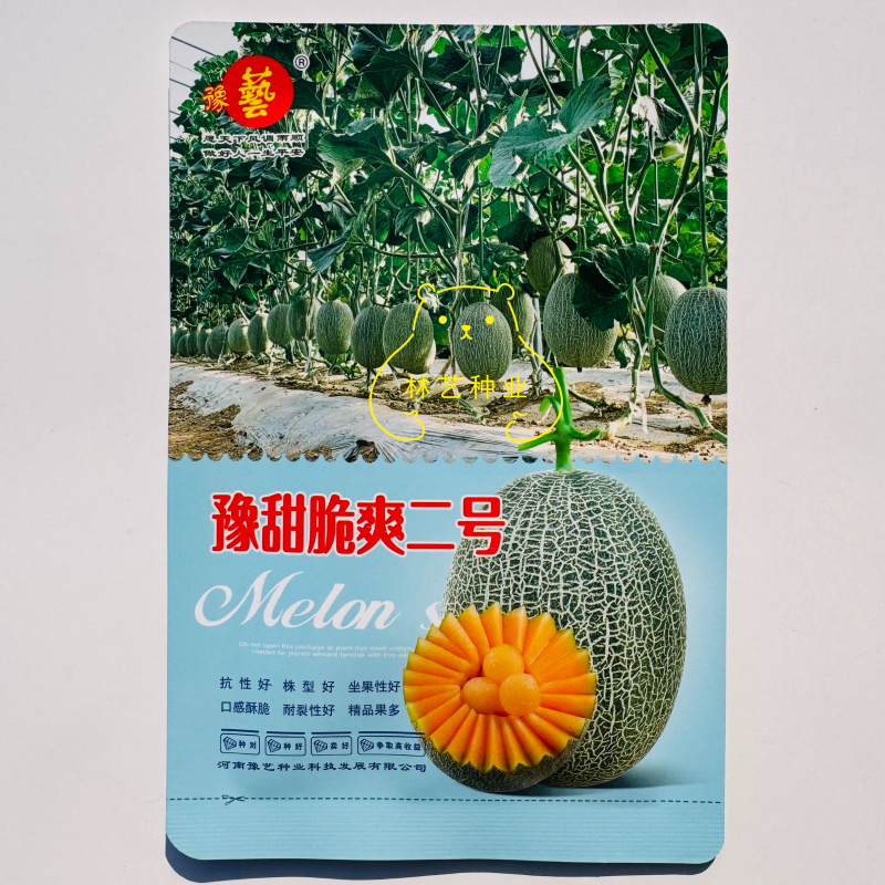 豫甜脆爽二号网纹瓜种子长势旺坐果性好