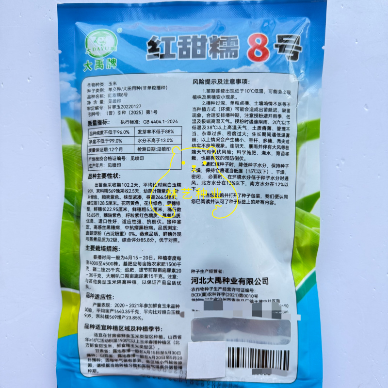 红甜糯8号甜糯玉米种子矮杆大棒早熟黑糯米转基因高产蔬菜种