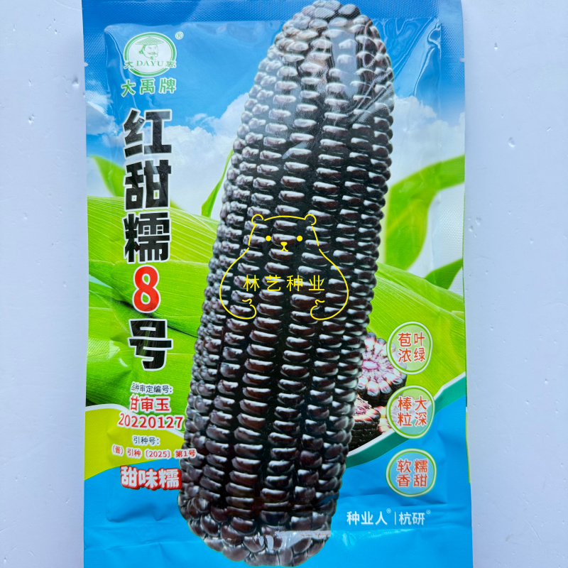 红甜糯8号甜糯玉米种子矮杆大棒早熟黑糯米转基因高产蔬菜种