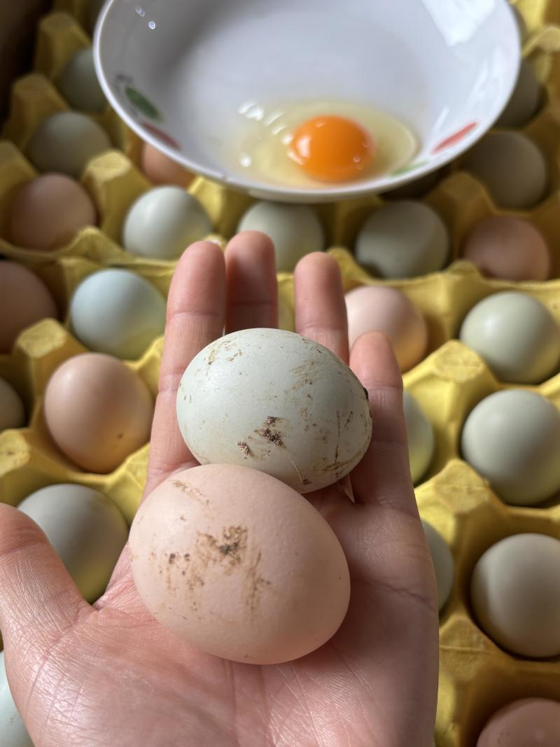 土鸡蛋来自深山散养的母鸡，（一件360个/箱）