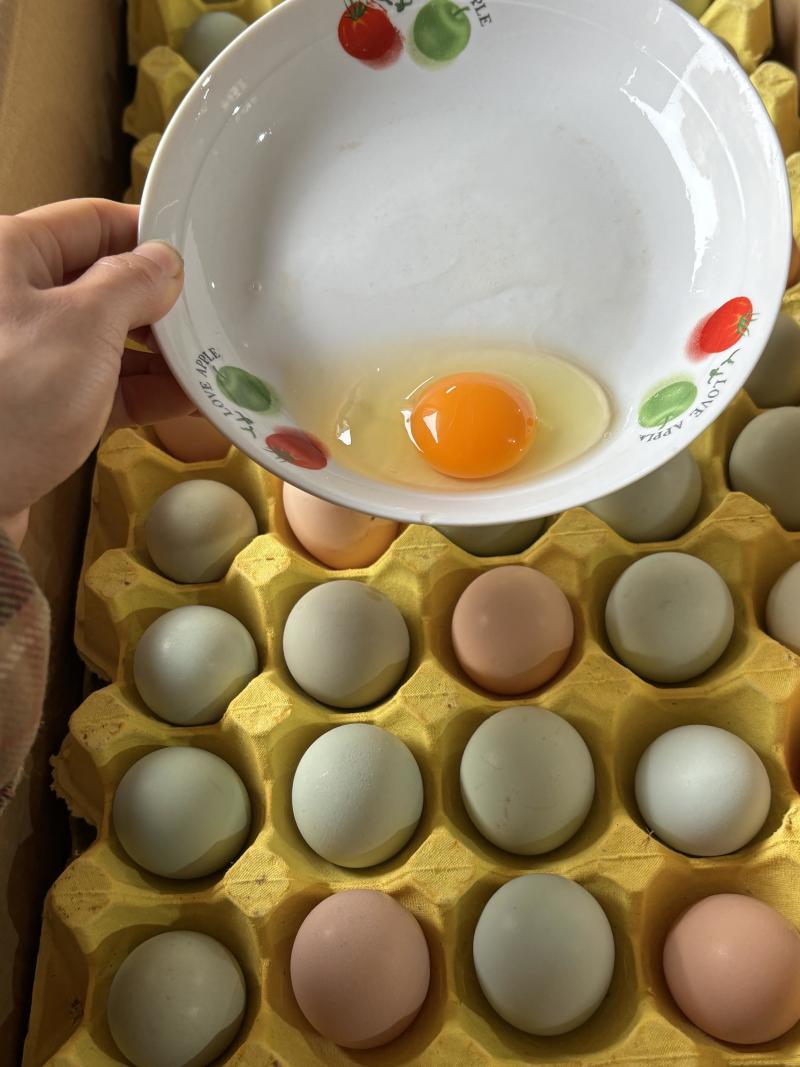 土鸡蛋来自深山散养的母鸡，（一件360个/箱）