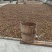 山茶油