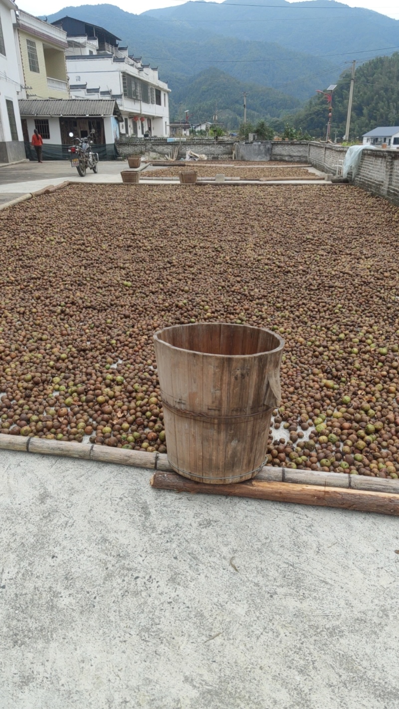 山茶油