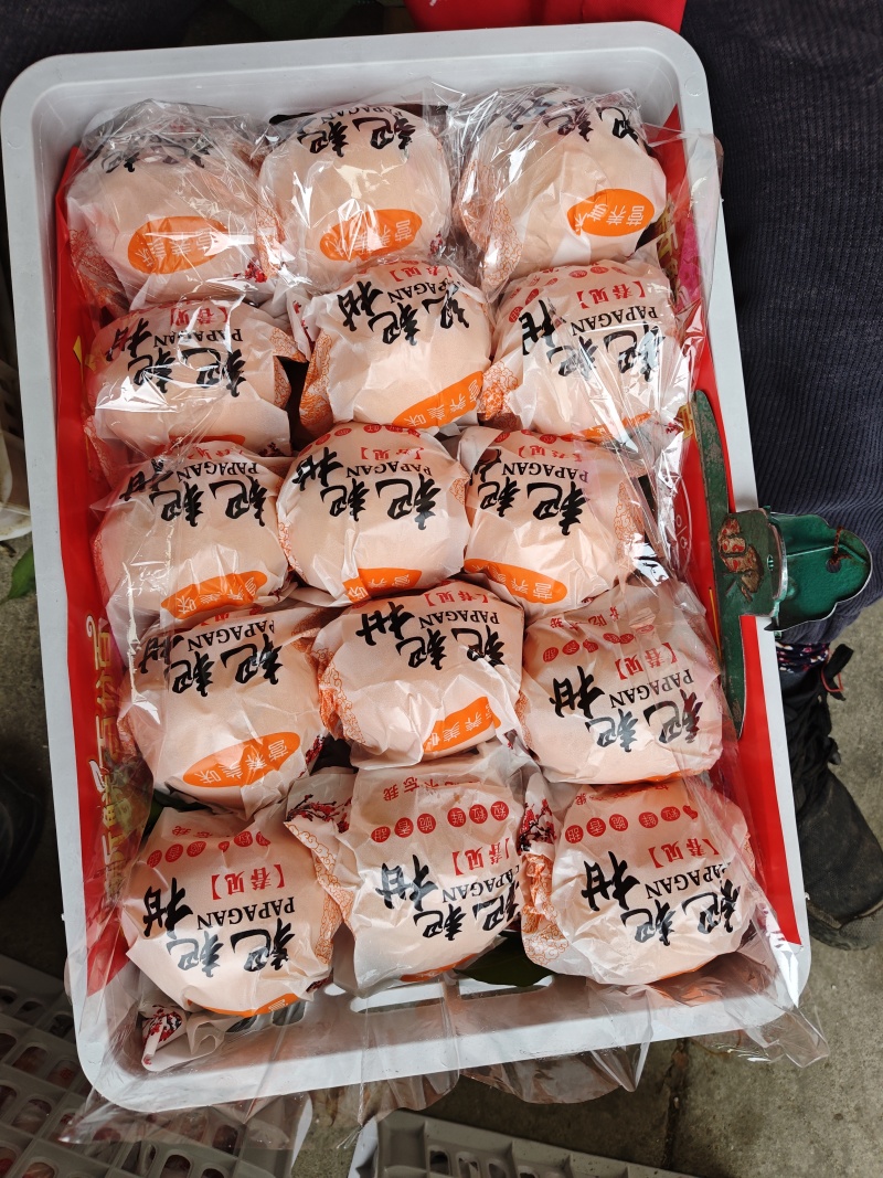 春见耙耙柑口感纯甜产地直发