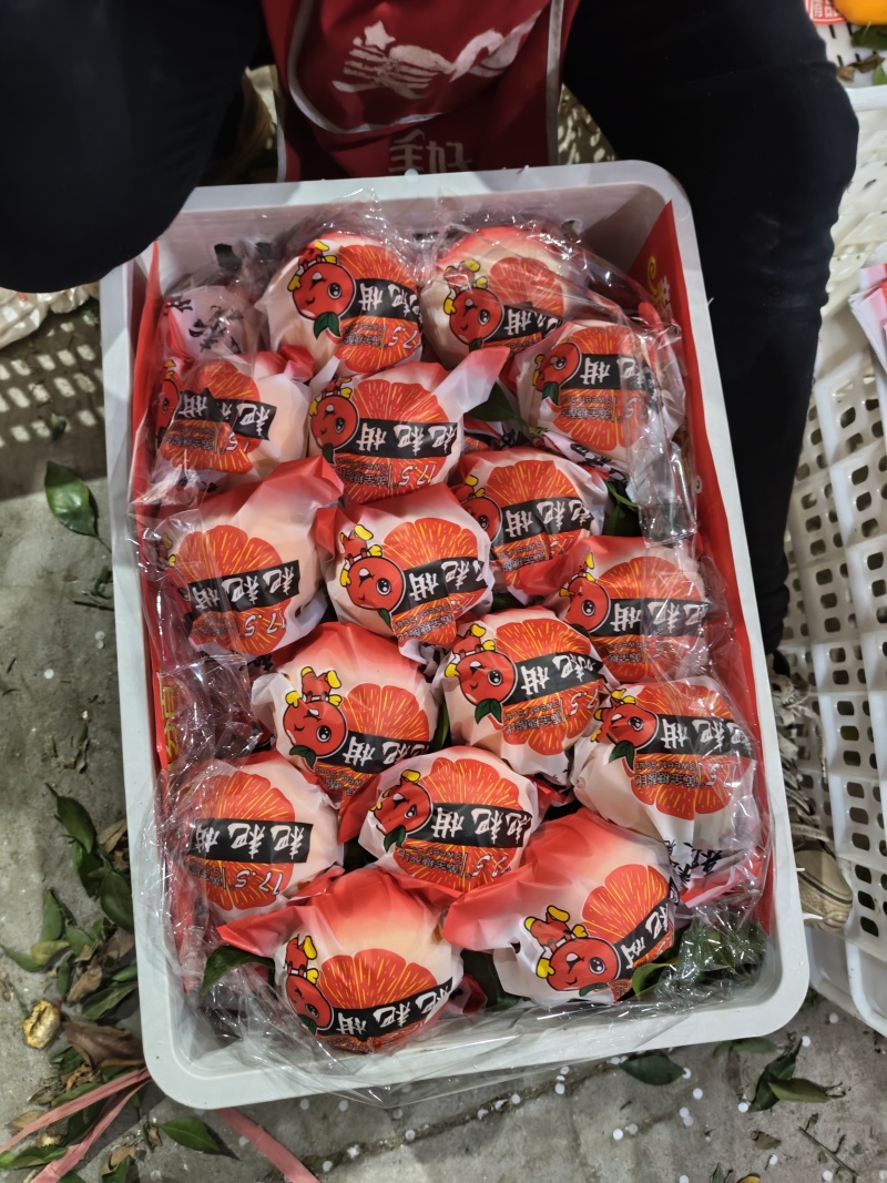 春见耙耙柑口感纯甜产地直发