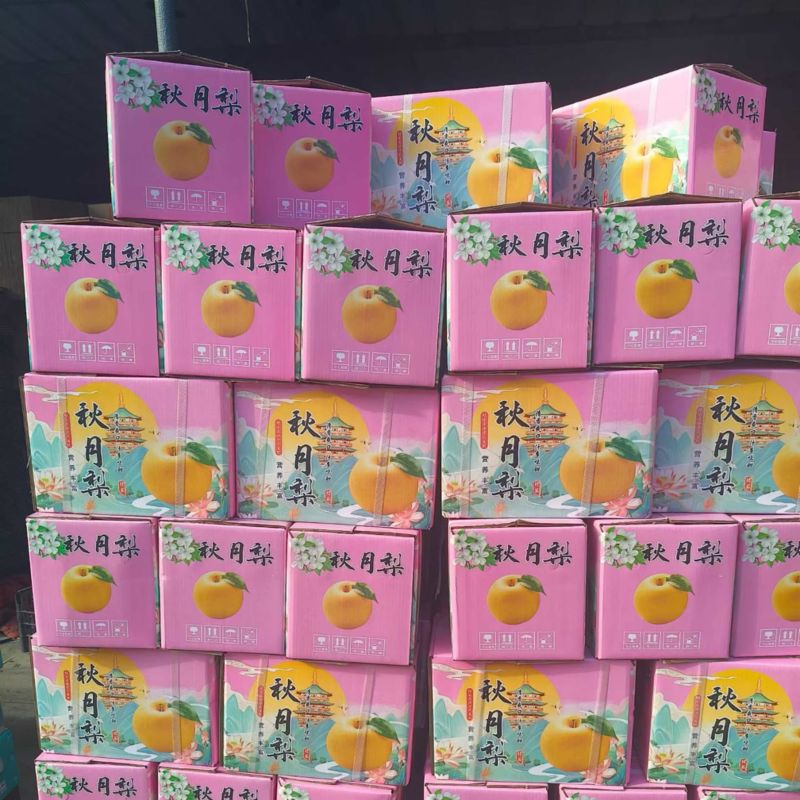 正宗秋月梨，大量现货，现场加工货源充足自产自销全国接单中