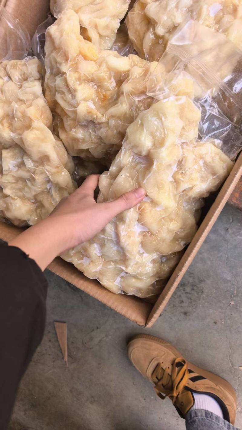 水发牛蹄筋，大块，无油，出成率高。价格低，质量好，可样品