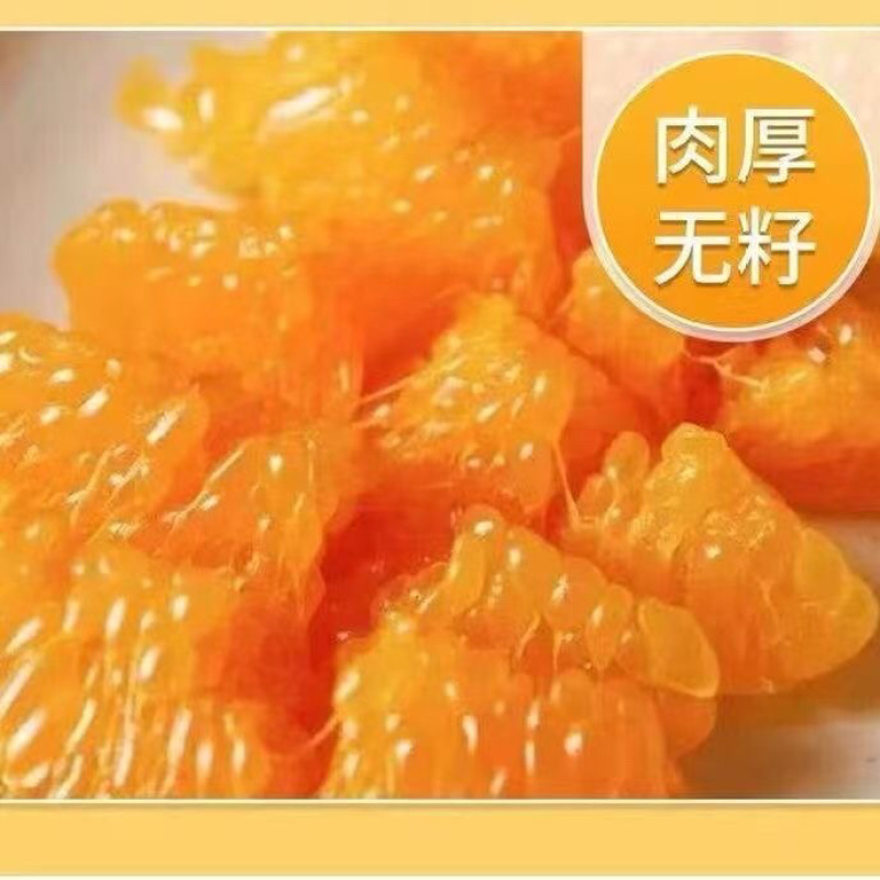四川粑粑柑～丑橘～一件代发～对接各大电商平台日发3万单