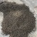 湖北荆州洪湖田螺产地直销基地
