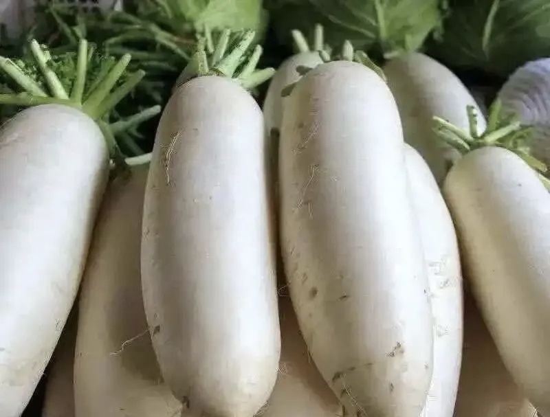 白萝卜大量有货品质优基地直供现挖现发可视频看货欢迎咨询来