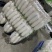 白萝卜大量有货品质优基地直供现挖现发可视频看货欢迎咨询来