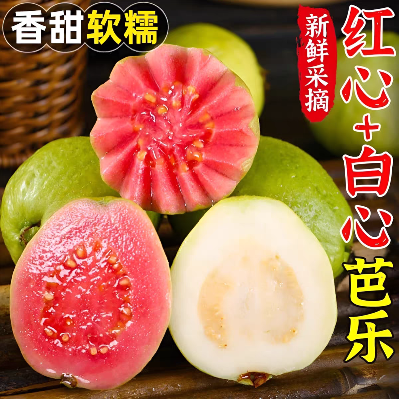 《红心芭乐》白心番石榴/产地货源/电商直播市场批发