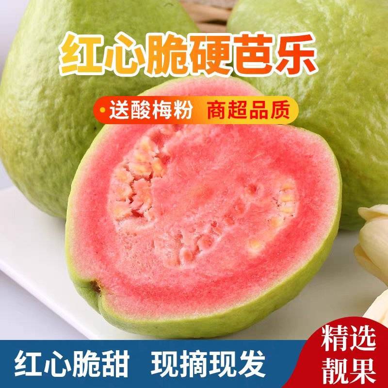 《番石榴》广东芭乐，红心番石/产地直发/视频看货保质保量