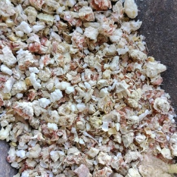 玉米芯颗粒
