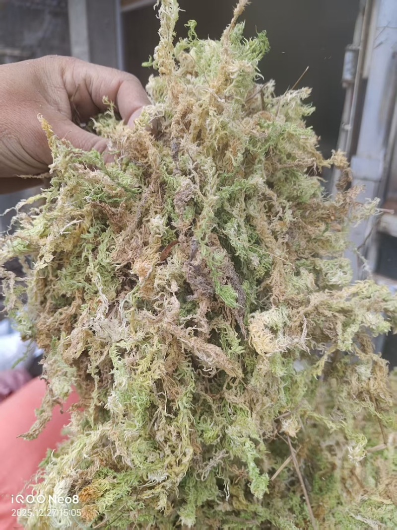 水苔小花贵州优质水苔小花干货按斤来走价格美丽