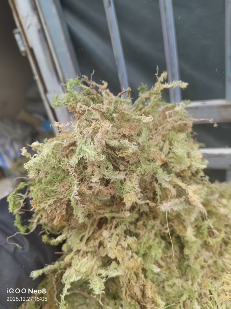水苔小花贵州优质水苔小花干货按斤来走价格美丽