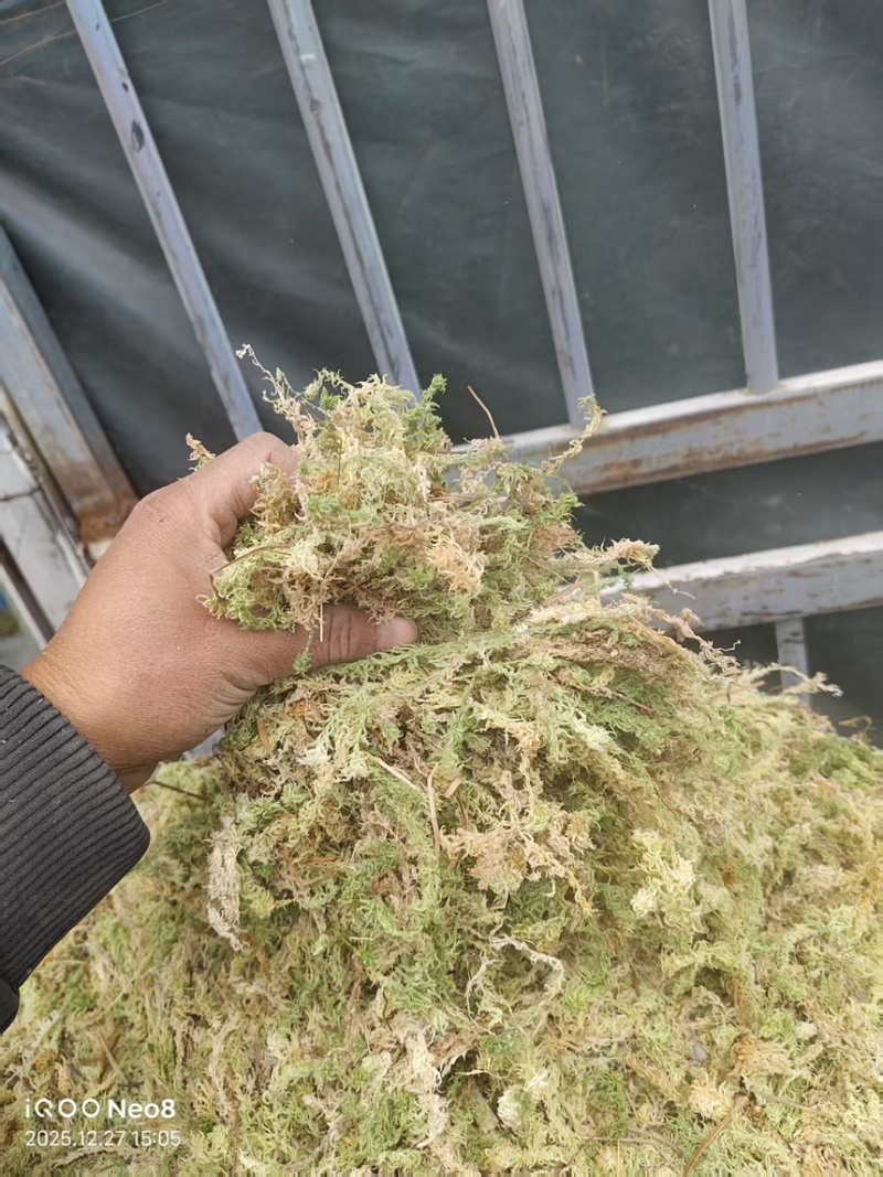 水苔小花贵州优质水苔小花干货按斤来走价格美丽