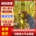 黄皮甘蔗/云南甘蔗/产区直发/大量有货一手货源