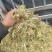 水苔大花贵州干水苔大花产地直供一手货源欢迎咨询