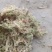 水苔大花贵州干水苔大花产地直供一手货源欢迎咨询