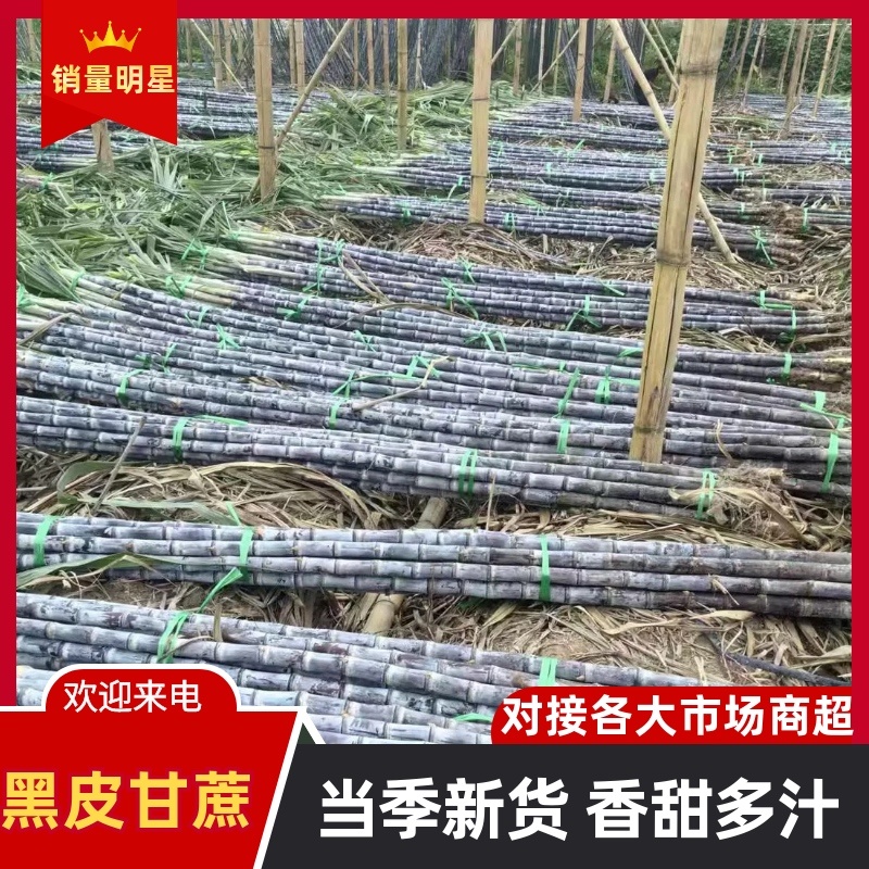 黑皮甘蔗/云南产区直发/当天采摘/当天有货/大量供应