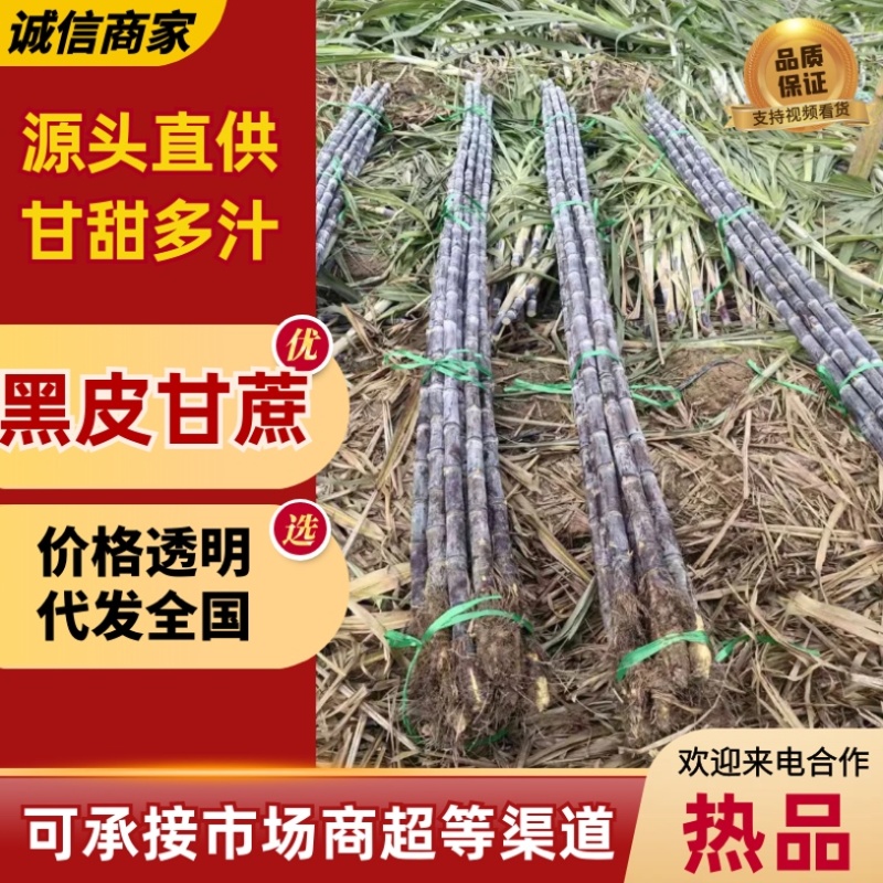 黑皮甘蔗/云南产区直发/当天采摘/当天有货/大量供应