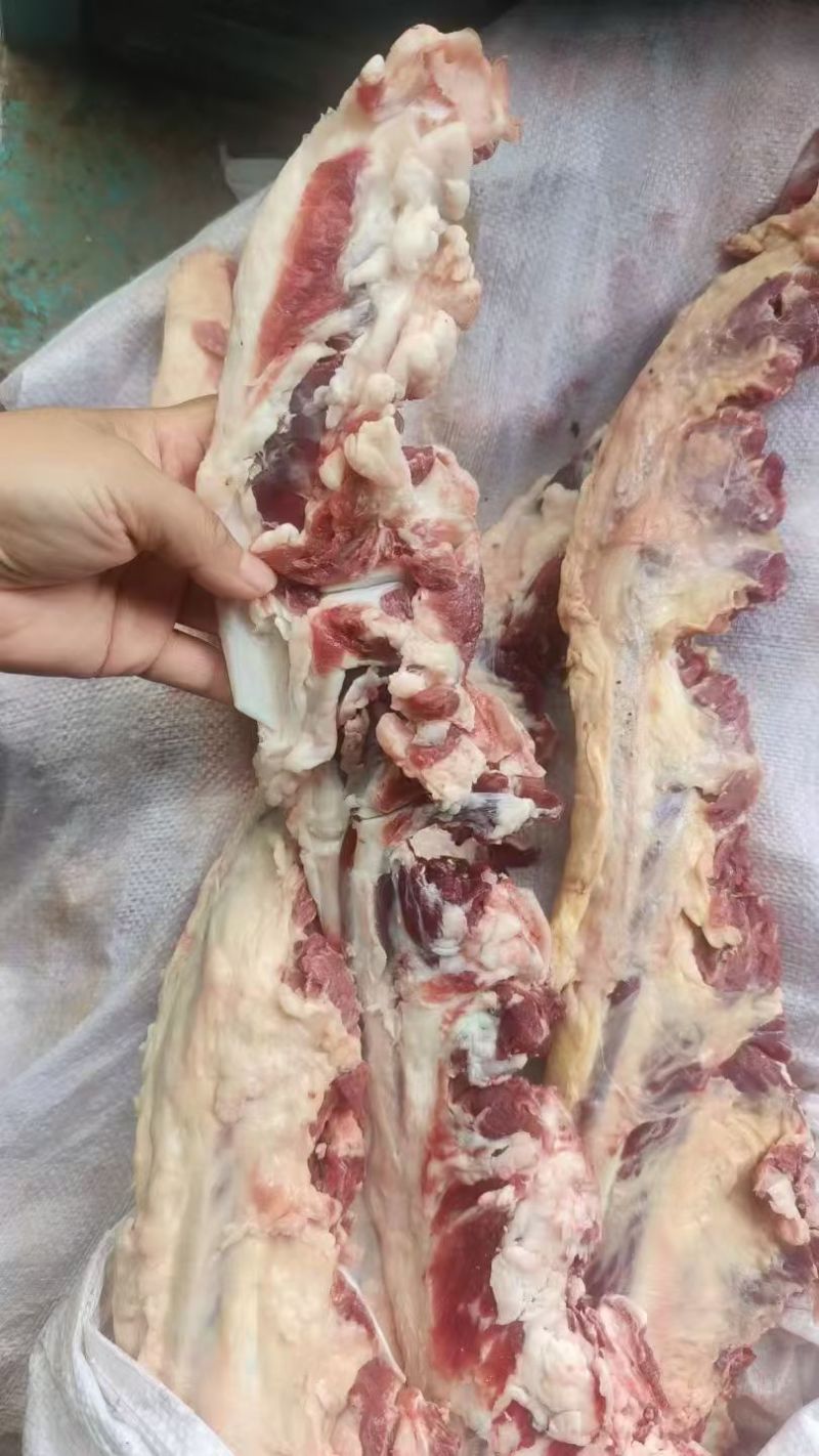 牛燕翅骨，国产排酸牛燕翅骨，不膻不腥