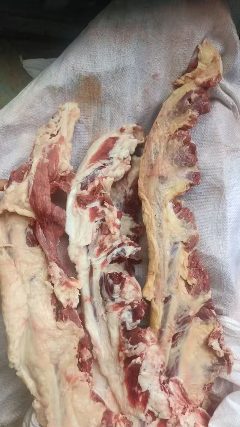 牛燕翅骨，国产排酸牛燕翅骨，不膻不腥