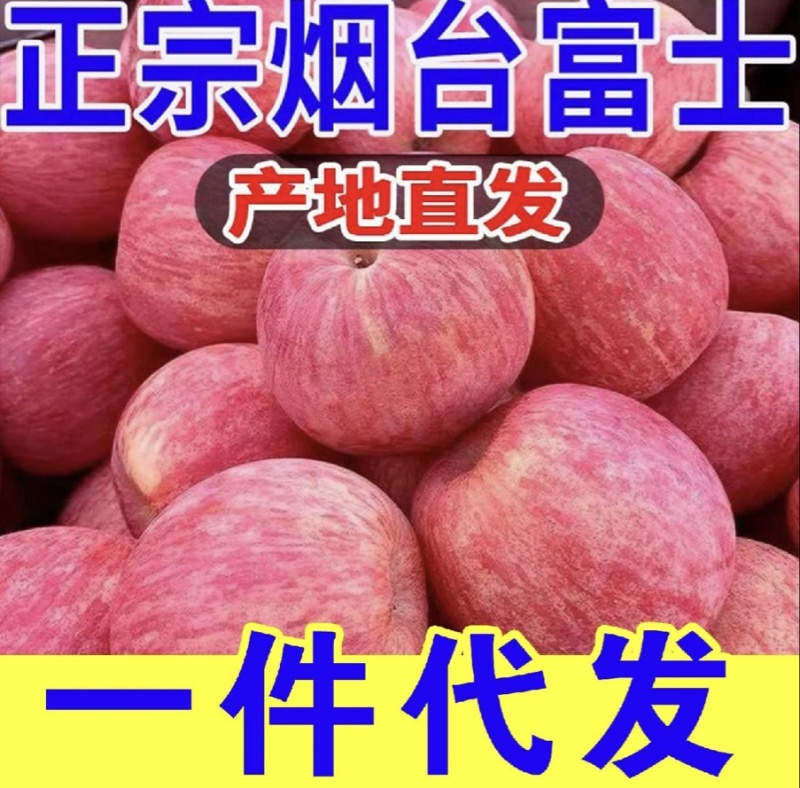 正宗烟台富士苹果