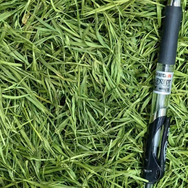 竹叶青花茶花草茶批发竹叶青花茶