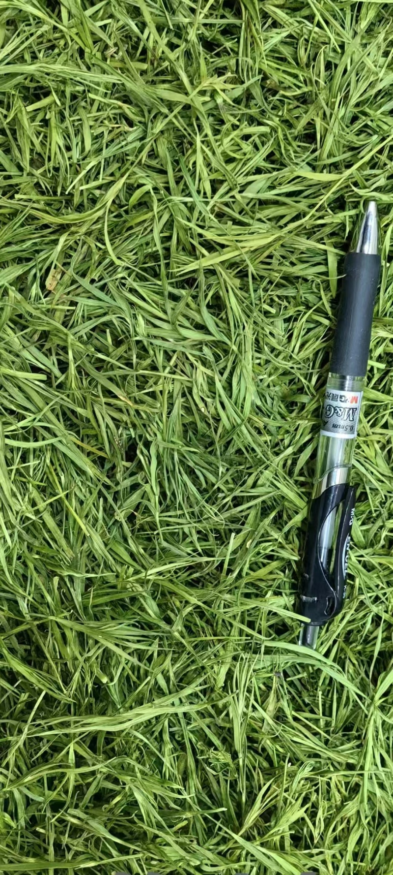 竹叶青花茶花草茶批发竹叶青花茶