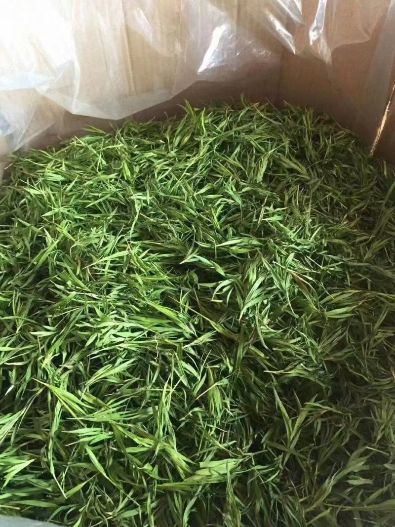 竹叶青花茶花草茶批发竹叶青花茶
