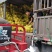 沙田柚