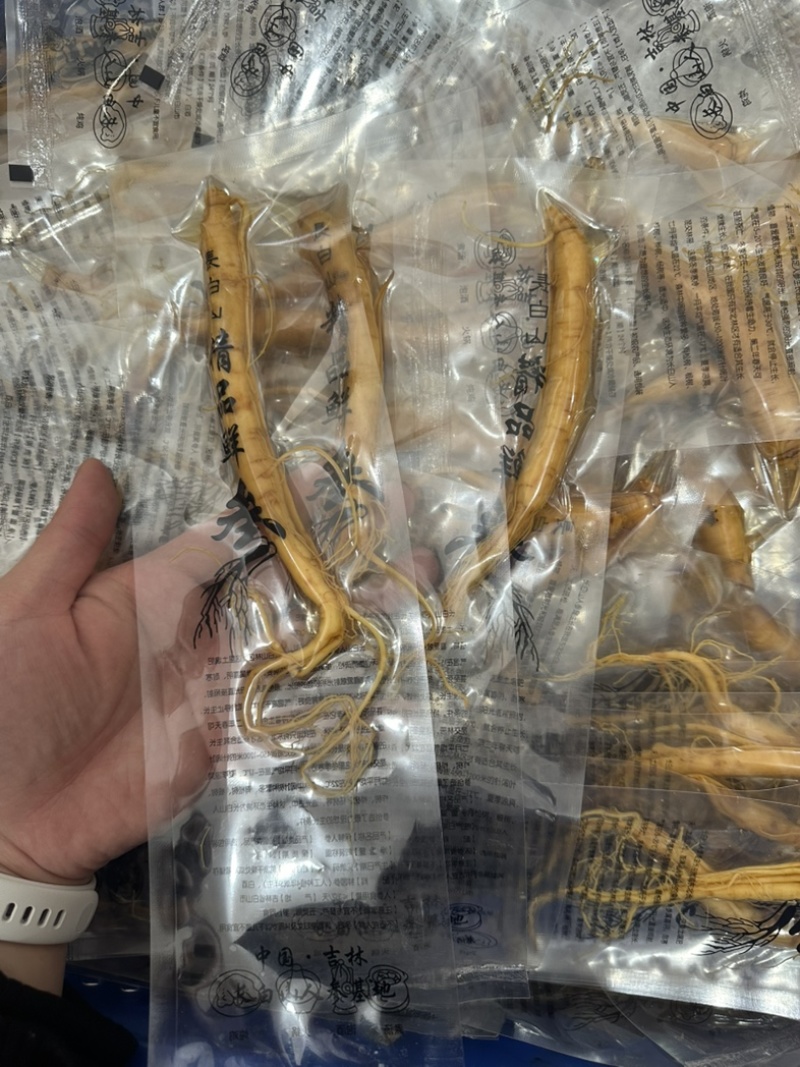 【精品】保鲜参/吉林发货/抖音电商/支持定制/一件代发