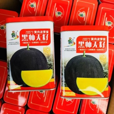 黑帅无籽西瓜种子高产超甜正圆大果黑皮黄肉菠萝蜜春季播种水