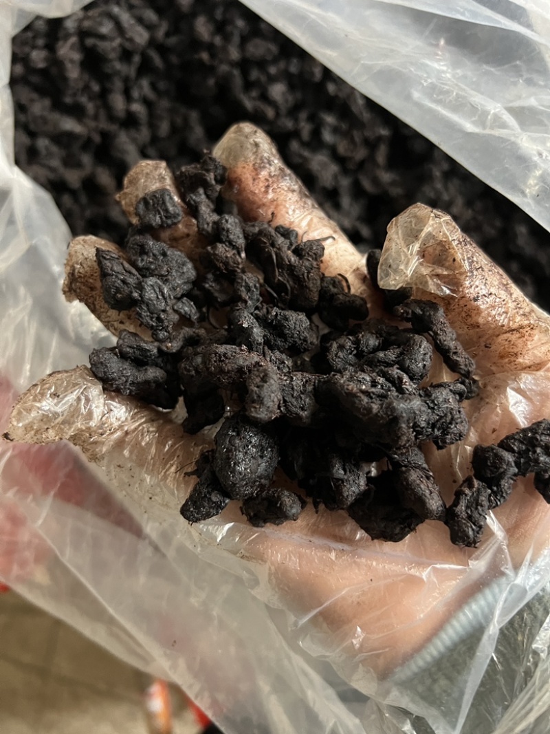九蒸九晒小颗野生黄精！松木柴九制黄精，5斤包邮