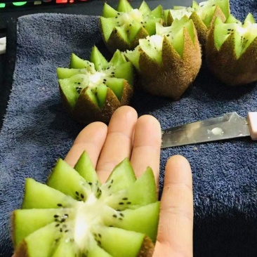 绿心猕猴桃