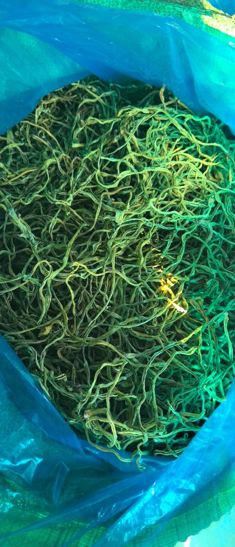 豆角丝