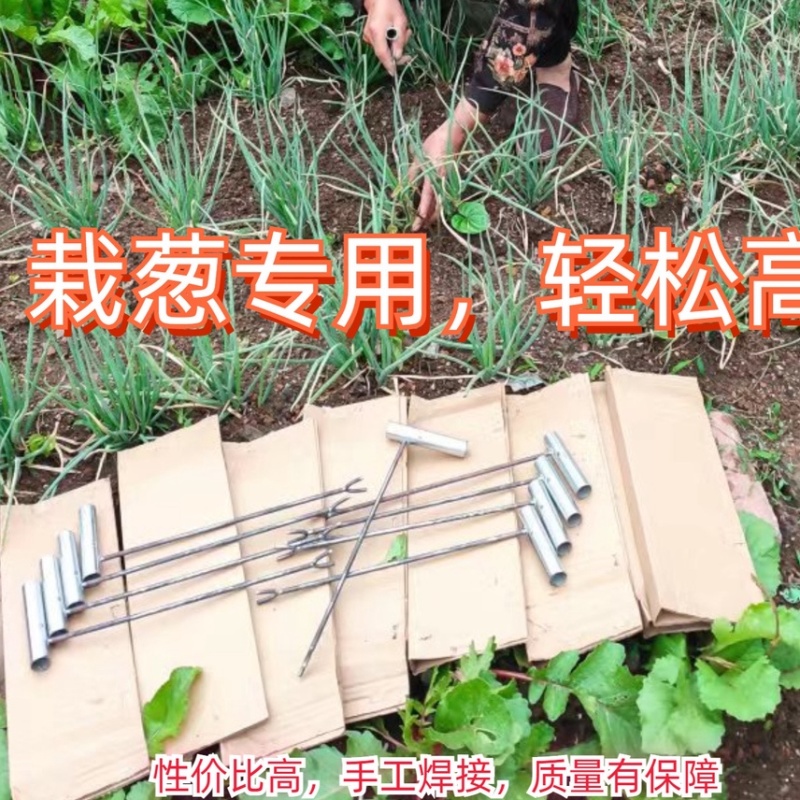 栽葱神器大葱插苗器葱叉子插葱苗神器栽葱专用