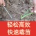 栽葱神器大葱插苗器葱叉子插葱苗神器栽葱专用