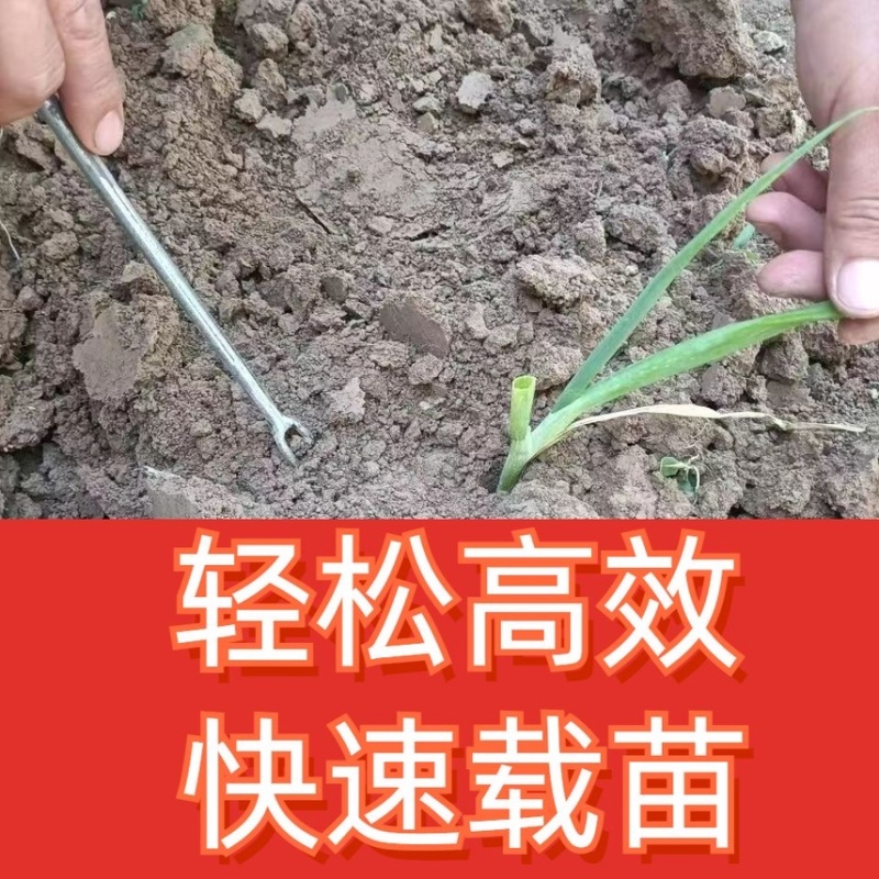 栽葱神器大葱插苗器葱叉子插葱苗神器栽葱专用