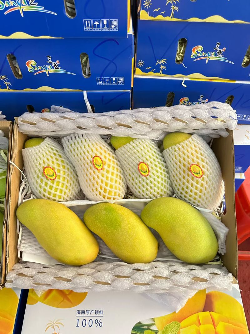 金煌芒