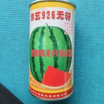 豫艺926无籽西瓜种抗病抗裂含糖量高亩产5000公斤