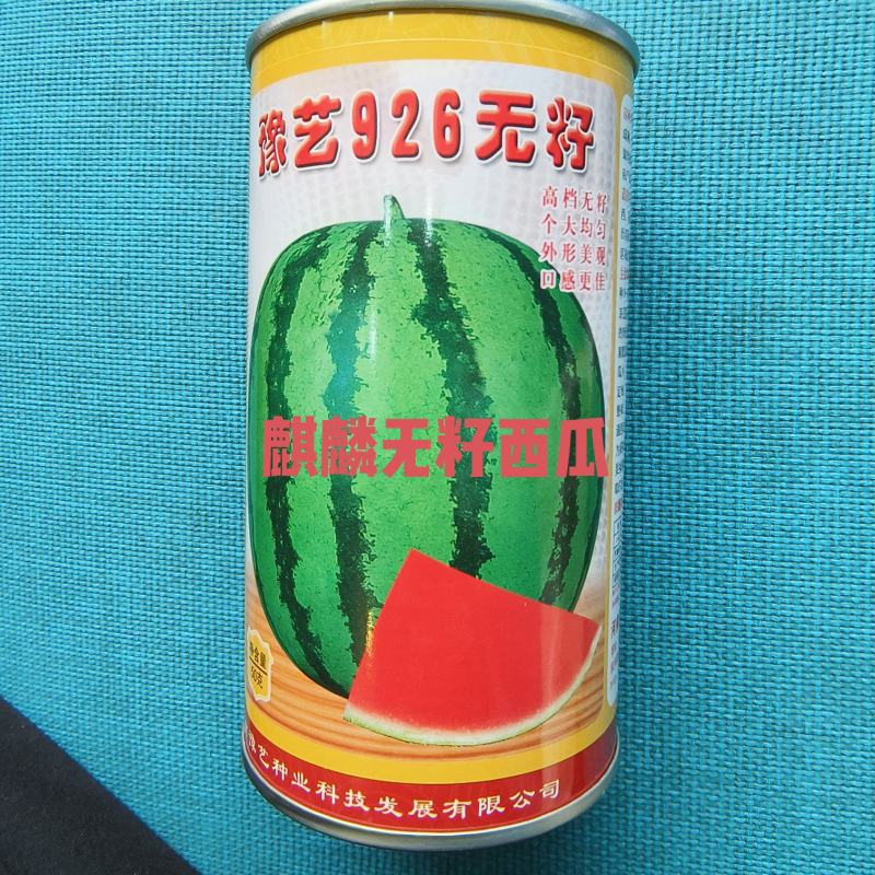 豫艺926无籽西瓜种抗病抗裂含糖量高亩产5000公斤