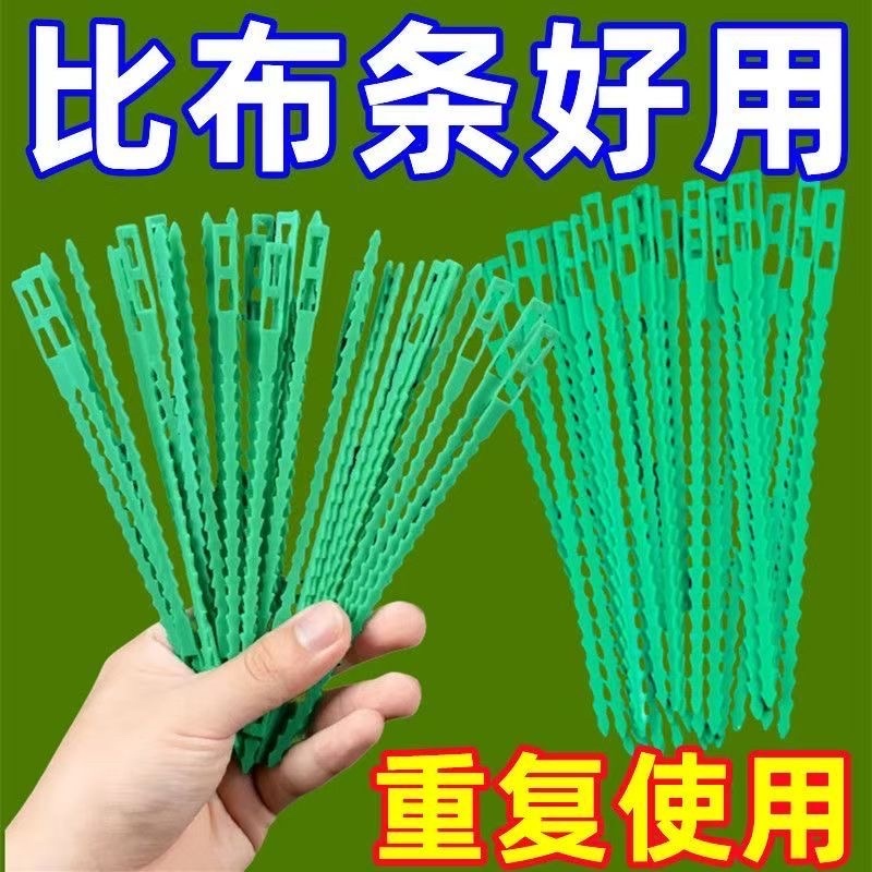 园艺绑藤植物固定用可调节鱼骨扎带捆绑线多用途园林专用