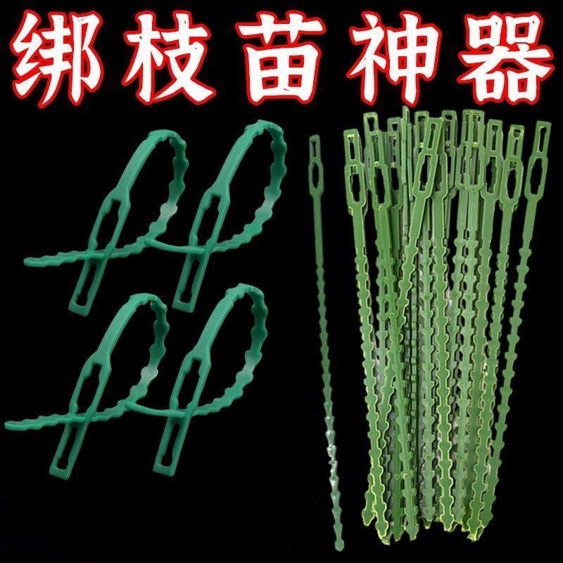 园艺绑藤植物固定用可调节鱼骨扎带捆绑线多用途园林专用